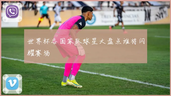 世界杯各国家队球星大盘点谁将闪耀赛场