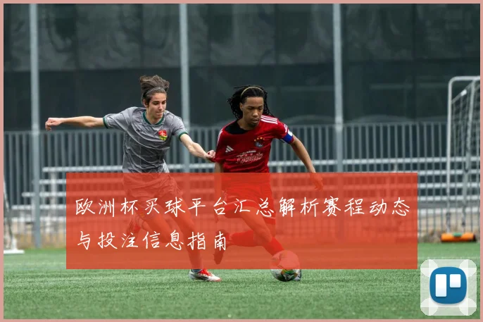 欧洲杯买球平台汇总解析赛程动态与投注信息指南